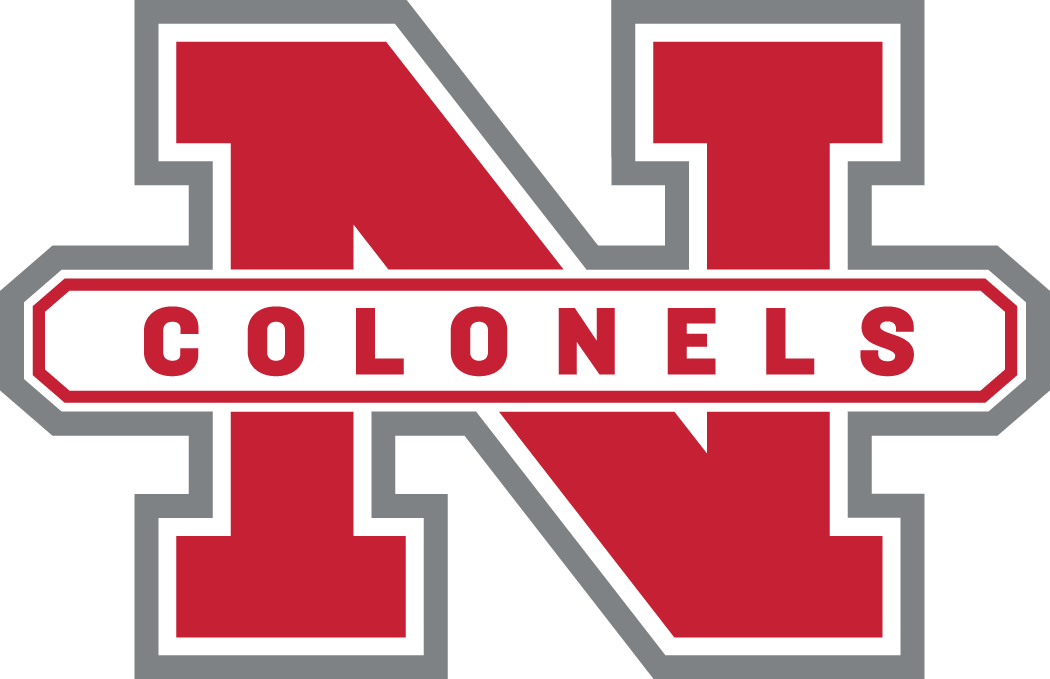 Nicholls State Colonels 2005-2008 Secondary Logo diy DTF decal sticker